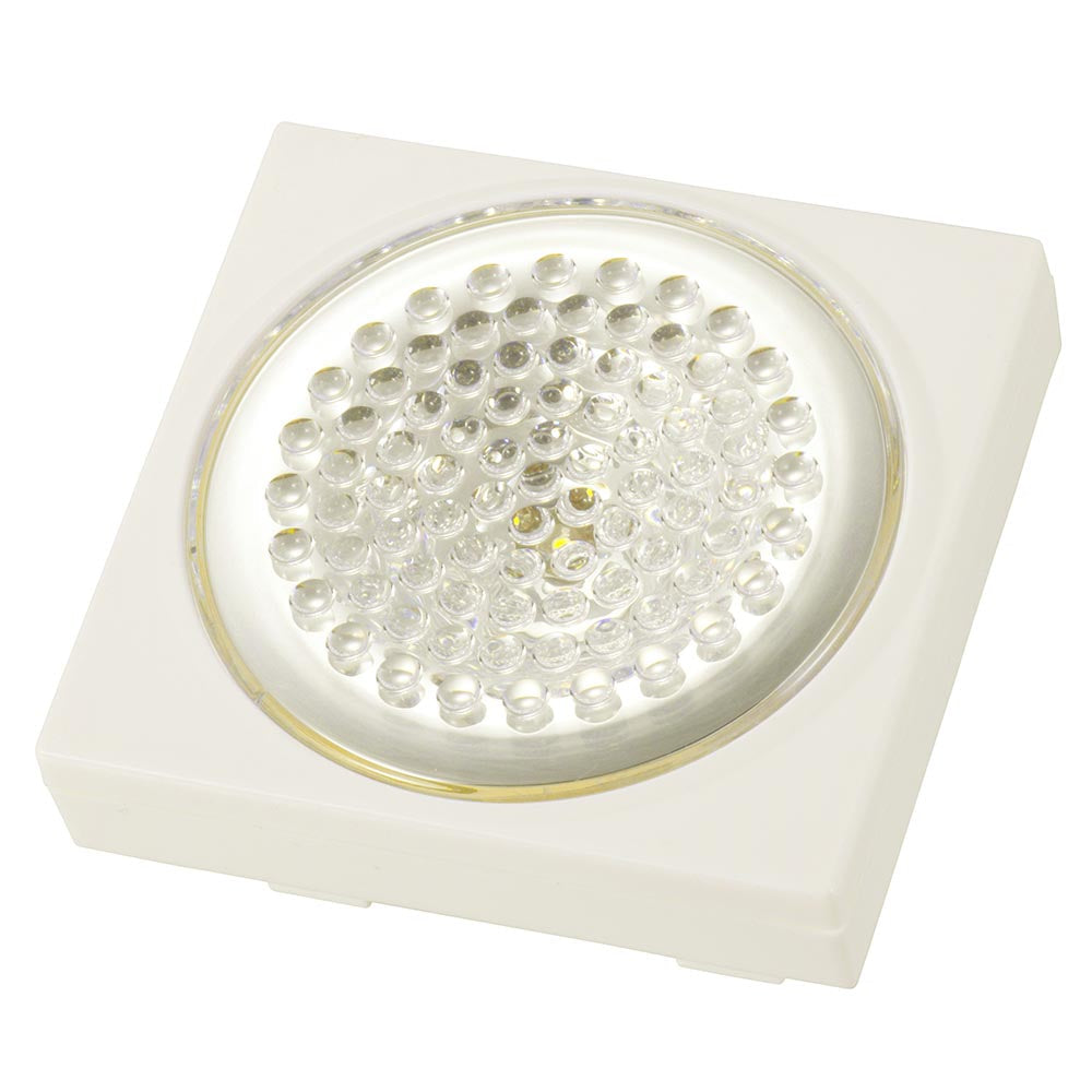 LEDミニプッシュライト(点灯80時間/単4形×3本使用)_08-0709_NIT-BD2D_OHM(オーム電機)